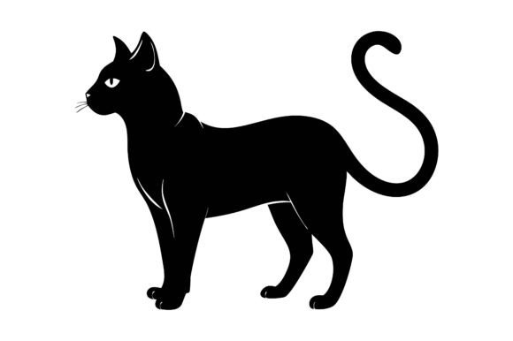 Cat Black Silhouette Vector Review