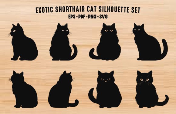 Exotic Shorthair Cat Black Silhouettes Review